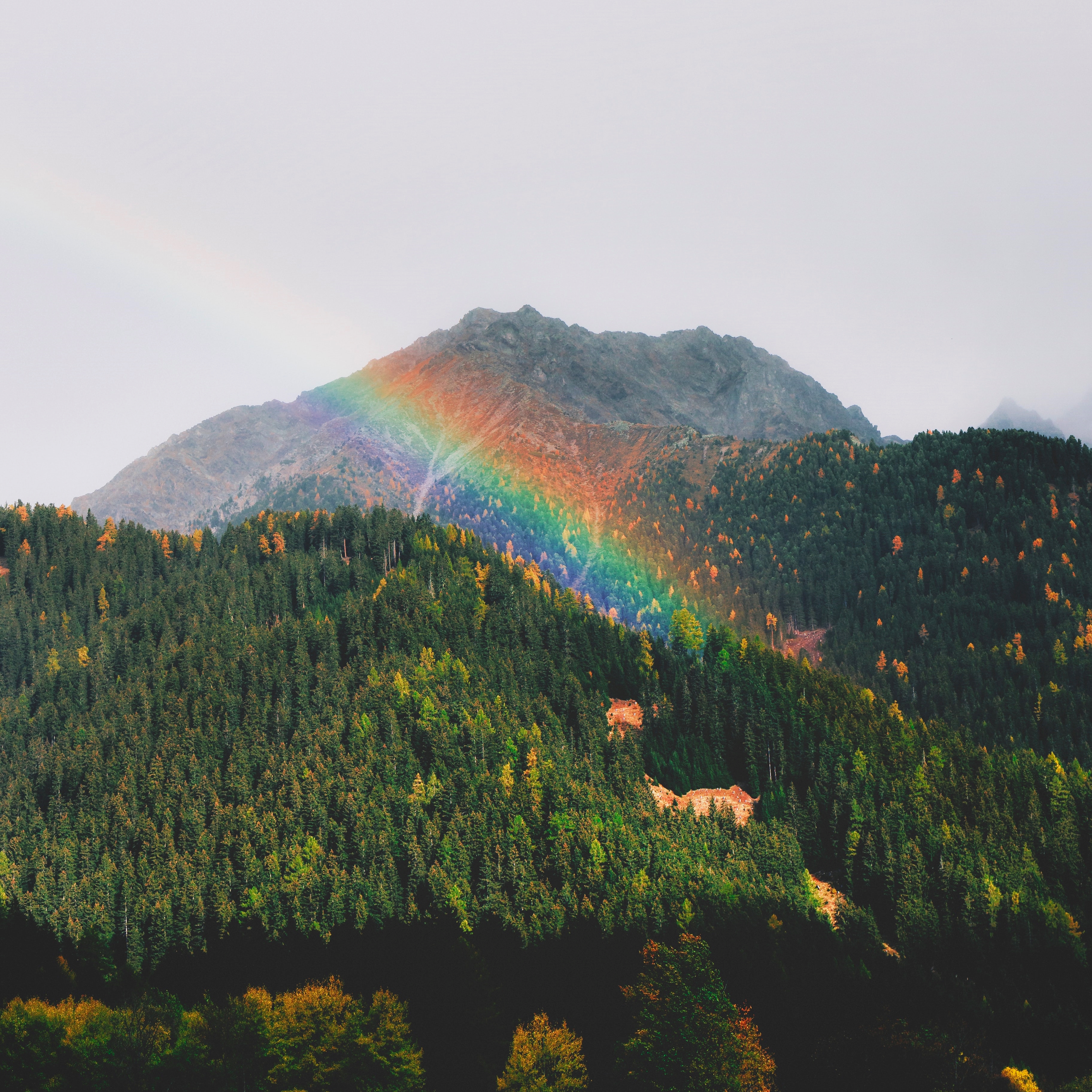 Wise Mind Therapy, PLLC